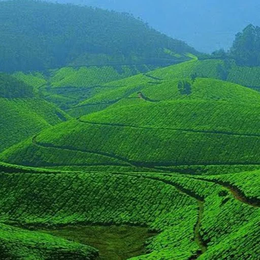 Kuttikkanam
